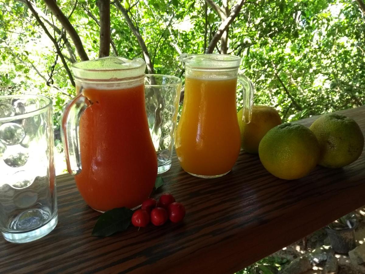 Pousada Recanto Devas Cabo Frio Extérieur photo